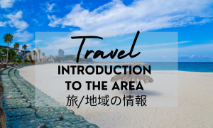 Travel